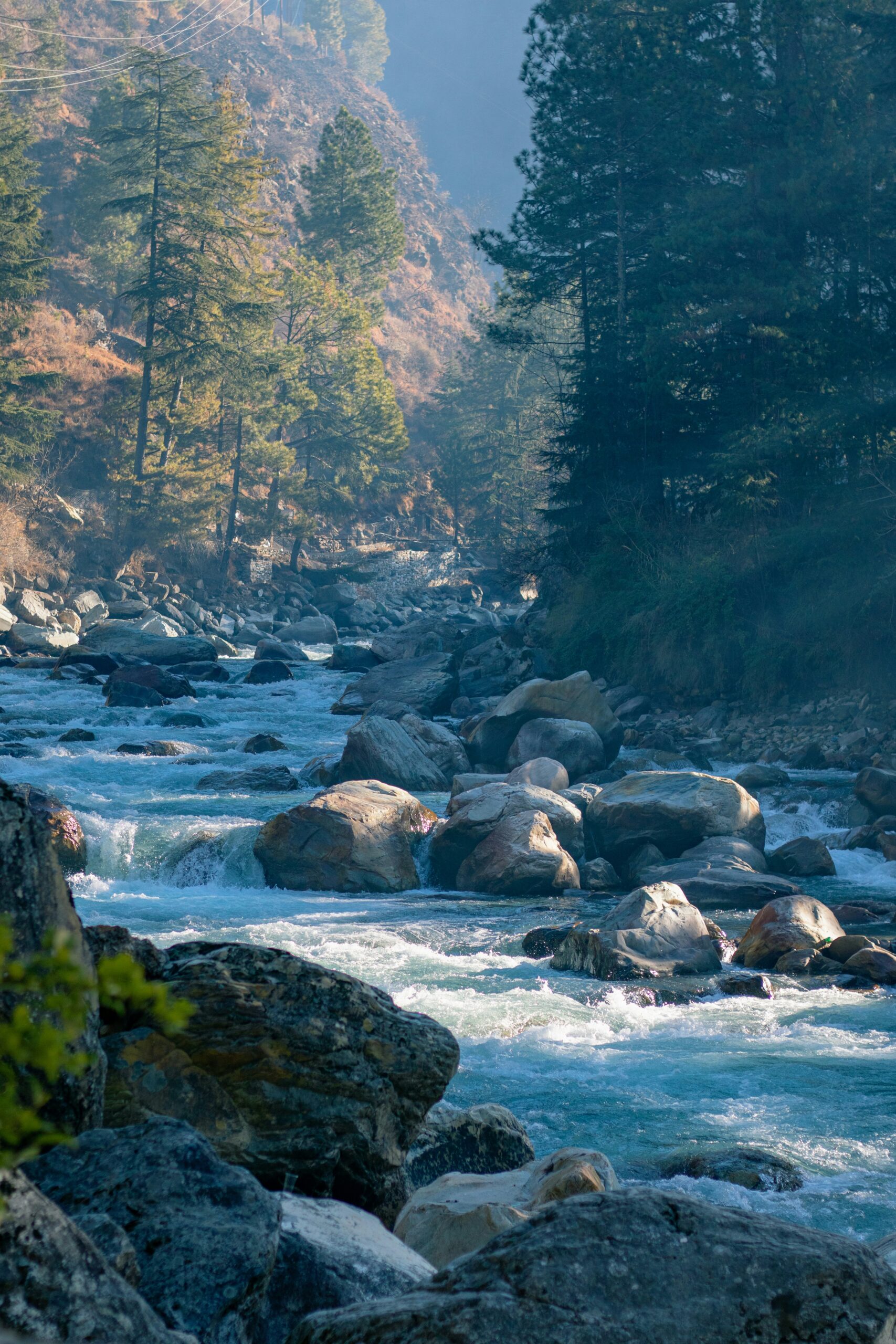 Explore the scenic beauty around SnugBug.